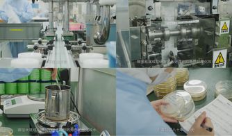 櫻花約定，匠心傳承 日本娜麗絲衛生用品的前世今生